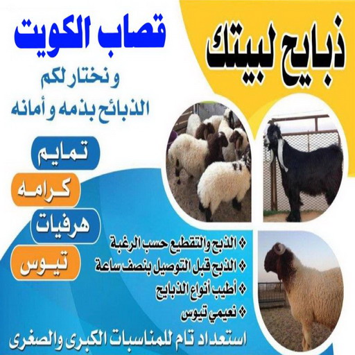 ذبايح ----- ذبايح قصاب - قصاب متنقل - ابومحمد📞55634410 - ذبايح - ذبائح الكويت - غنم للبيع - اغنام للبيع - ذبايح للبيع - غنم - سوق غنم - اغنام عربي للبيع - جزار - ذبائح